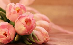 leżący na płaskiej powierzchni bukiet złożony z różowobiałych tulipanów z zielonymi łodygami i liśćmi