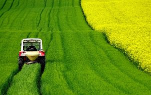 Ciągnik rolniczy pracujący na zielonym polu zboża. Obok żółte pole rzepaku. Zdjęcie autorstwa wurliburli (Pixabay)