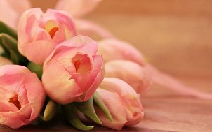leżący na płaskiej powierzchni bukiet składający się z czterech sztuk różowych tulipanów Image by NoName_13 from Pixabay