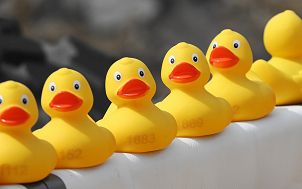 Gumowe, żółte kaczki z czerwonymi dziobami, do kąpieli stojące w rządku. Autor zdjęcia: Manfred Richter (Pixabay)